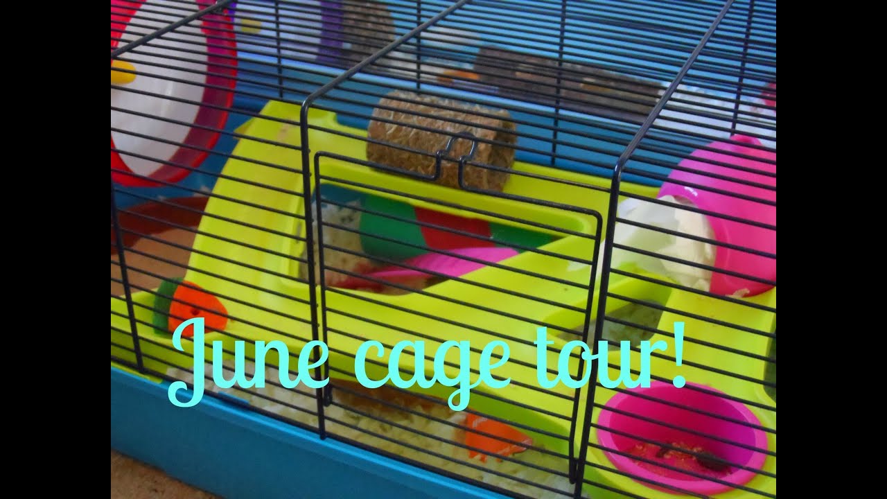 savic bristol hamster cage