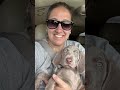 💌 Happy Valentines Day 💌#puppiescomingsoon #weimaraner #loveit #puppies