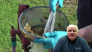 Washing Manure