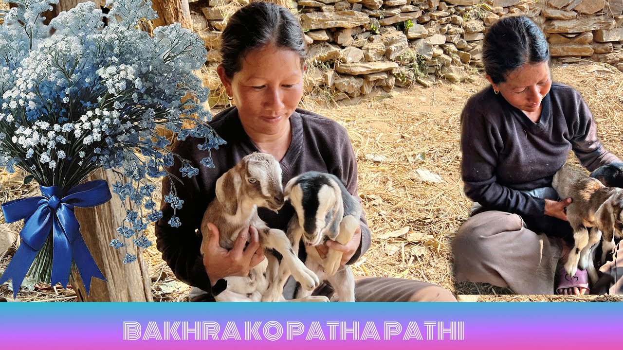 BIHAN EKLAI KHETAMA KANN GOKO😝