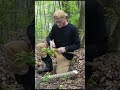 Using the Kalahari Bushmen Axe / Adze #survivalskills #aloneonhistory