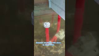 Cara Pasang Skimmer Aquarium
