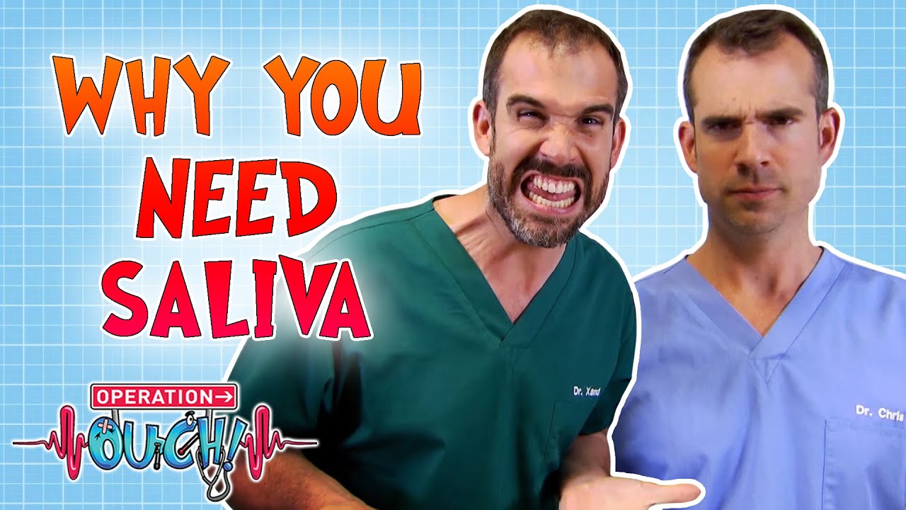 Why You Need Saliva | Operation Ouch