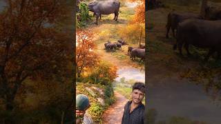 free mein tarbuj 😀#minivlog #viralvideo