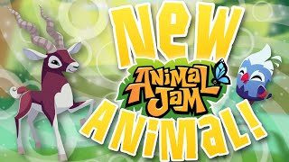 ANIMAL JAM'S *NEW* ANIMALS ✨ANTELOPES?!✨ Animal Jam screenshot 1