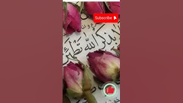 سورة المسد _ تبت يدا أبى لهب وتب _ قصة أبو لهب وأم جميل _ القارئ محمد خليل العثمانى#سورة_المسد ‌
