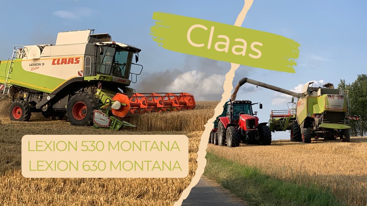 2x Claas Lexion am dreschen