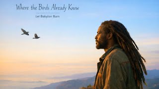 Where the Birds Already Know | Let Babylon Burn