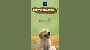 Learn About Content Aware Scale in Photoshop #adobetips #photoshoptutorial #photoshopedit