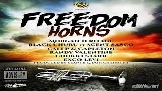 FREEDOM HORNS Riddim 2020 Reggae SelectakNA