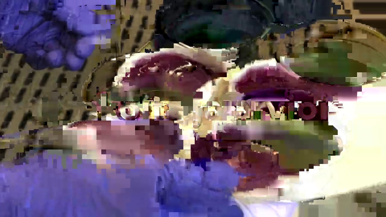 Lypsyn vaiheet Ollikkalan navetassa