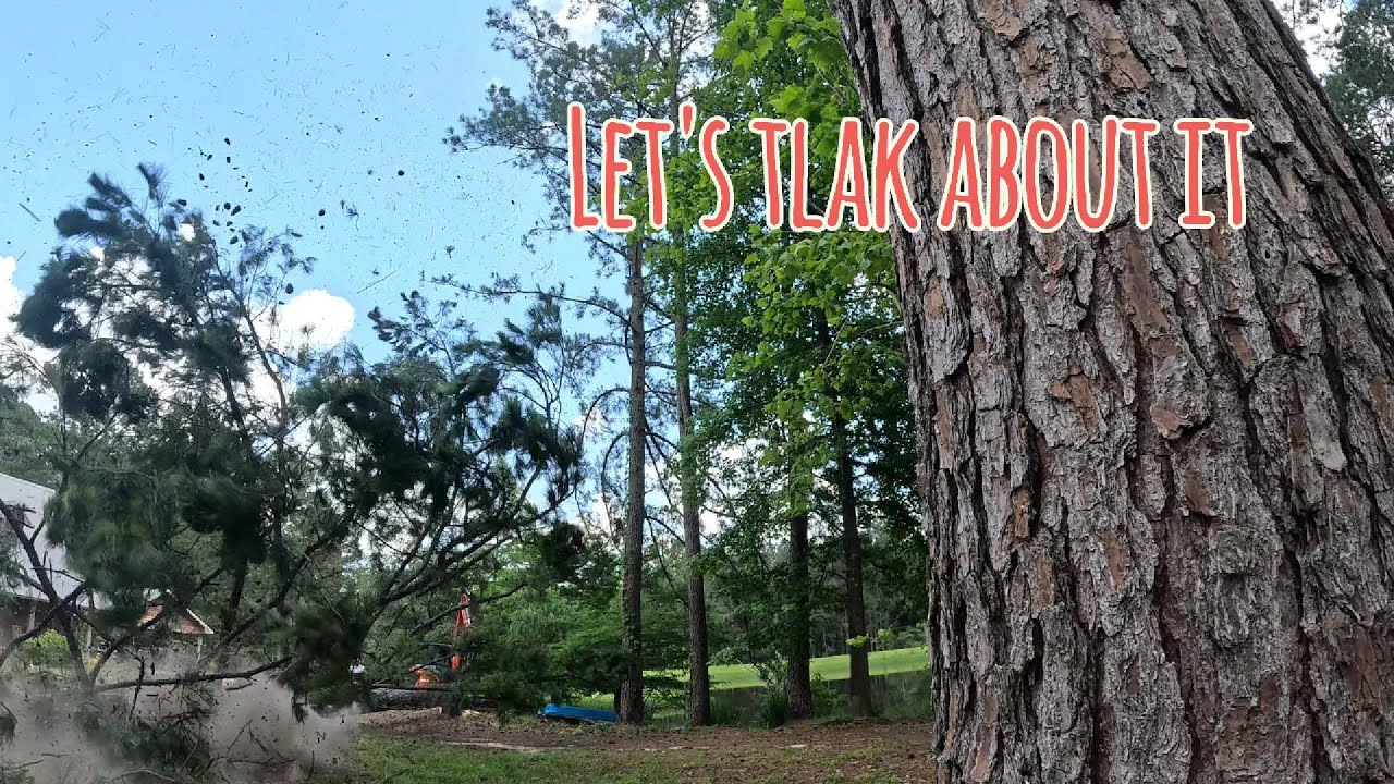 Lets talk Tree Work