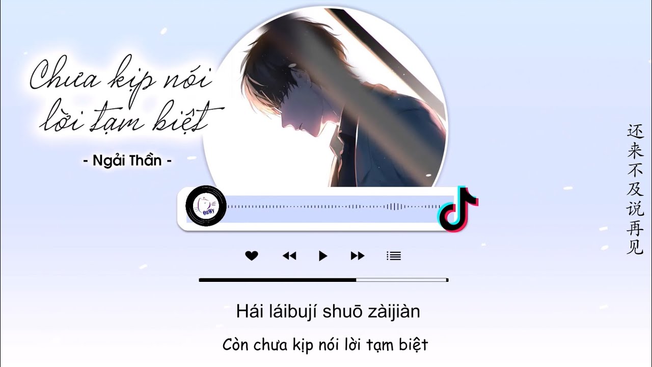 Video YouTube