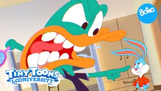 Tiny Toons Looniversidad Los Momentos Más Alocados Boing