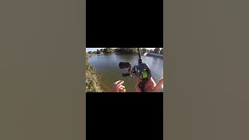 Shimano Metanium 20 Daiwa D-Frog No Backlash