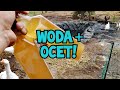 Hodowla Kur - OCET i WODA! 💧🐓🐔