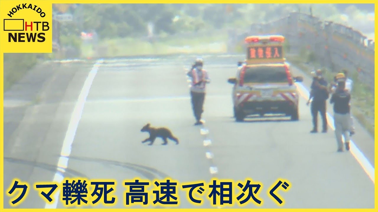 クマ 電気柵でない場所を乗り越えてきたか 高速道路に侵入の母子４頭のクマ 相次いで接触事故 Youtube