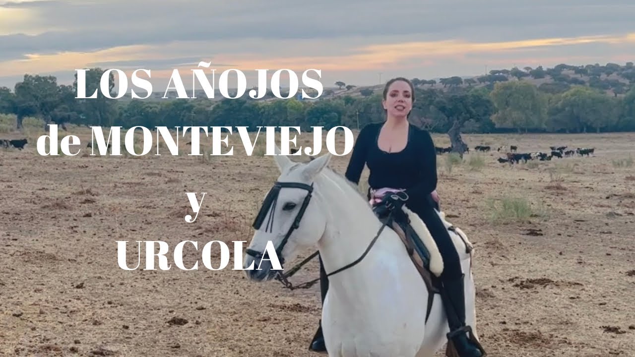 🧲LOS AÑOJOS de MONTEVIEJO, de URCOLA y Sementales de Prueba