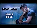 Саня Тихий – Белая сова | Шансон Юга