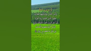 وأنذر الناس يوم يأتيهم العذاب. ماتيسر من سورة إبراهيم بصوت القارئ سعود الشريم.