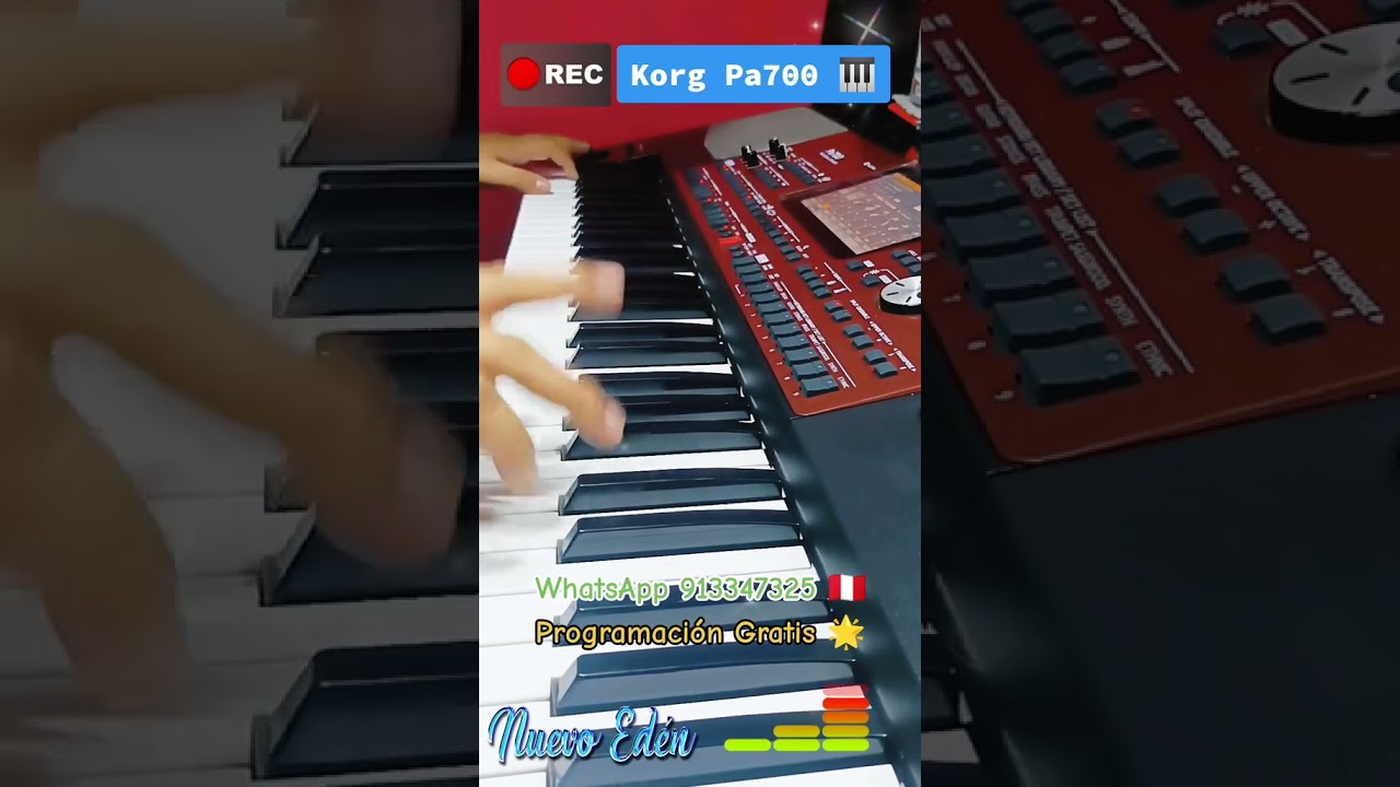 whatsapp 913347325 KORG PA700  