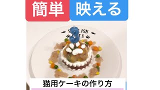 こんなに簡単でいいの？[猫用ケーキの作り方]ソアラの誕生日ケーキができるまで★