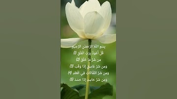 #سورة الفلق #دعاء #دعاء #youtube_short #اسلاميات