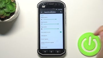 How to Change Notification Sounds in CAT S40 – Manage Notification Sound