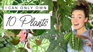 I Can Only Own 10 Plants... What Will They Be!?  Top 10 Houseplants