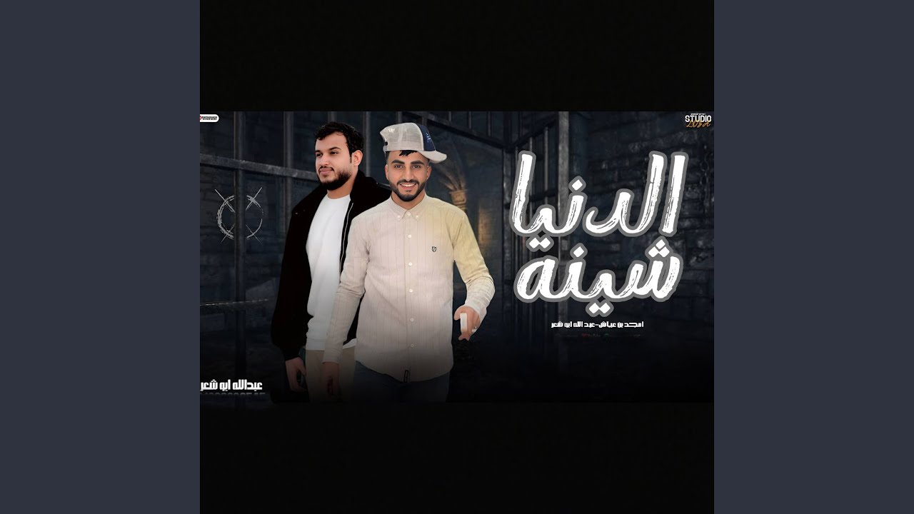 الدنيا شينه