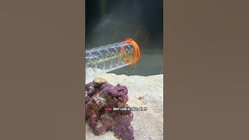 Another contraption for my octopus to solve