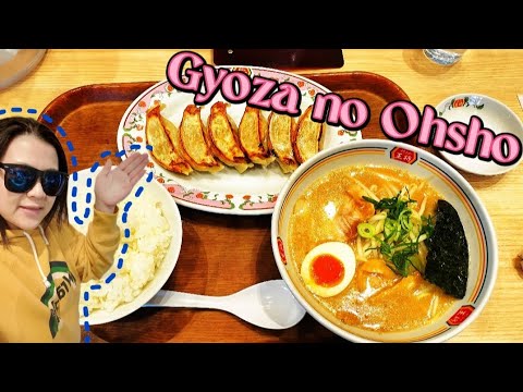 GYOZA NO OHSHO || Japanese Chinese cuisine