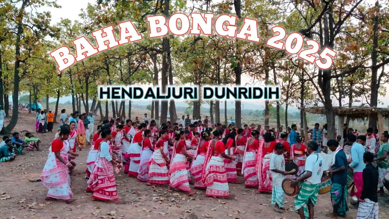 Aale Aatu Baha Bonga 2025 / New Santali Video / Harryperry vlogger
