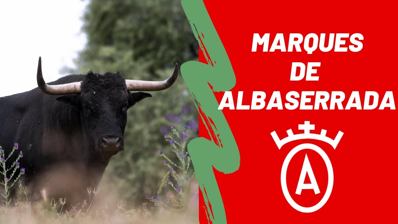 GANADERÍA MARQUES DE ALBASERRADA | TOROS 2022 🐂 (reportaje completo)