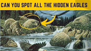 find the hidden animals game |can you find the hidden animals picture screenshot 3