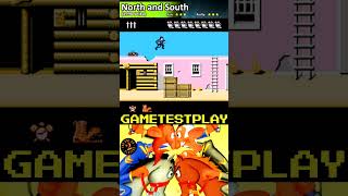 North and South NES Shorts Remember