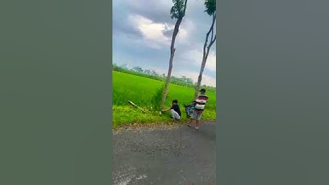 tutor gusah manok tanpa kesel 😁😁😁