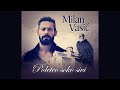 Milan Vasić Poleteo Soko Sivi Official Music Video Milan Vasić Poleteo Soko Sivi Official Music Video