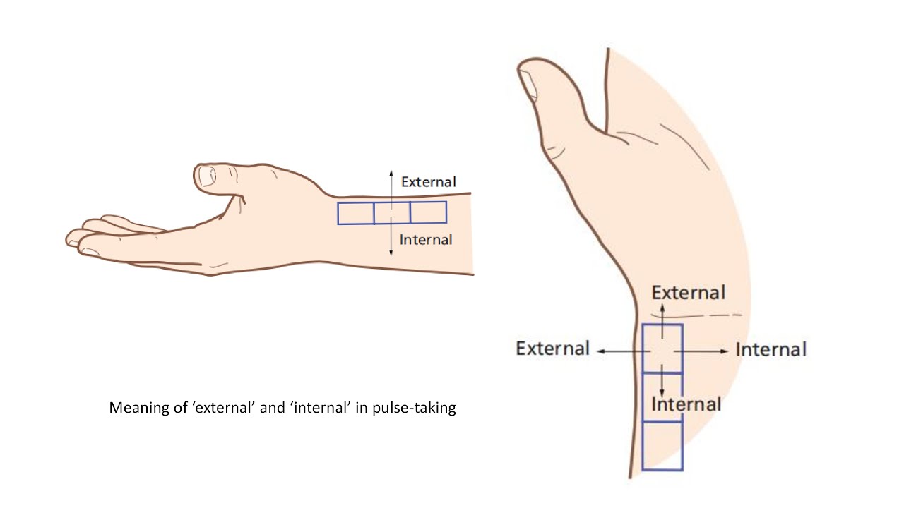 ASSIGNMENT OF PULSE POSITIONS TO ORGANS Part 3 (TCM) - YouTube