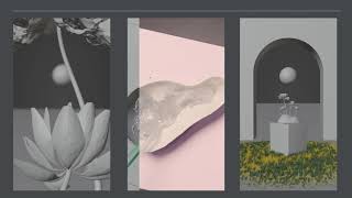 Animation Video In Blender For A Brand Nezhno