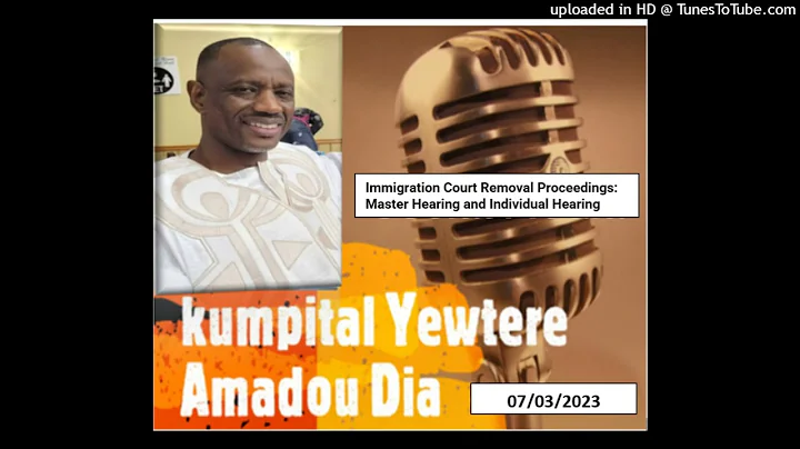 Immigration Court Removal Proceedings: Master Hearing and Individual Hearing