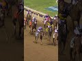 ALWAYS A RUNNER, ALWAYS A WINNER 🏇🔥