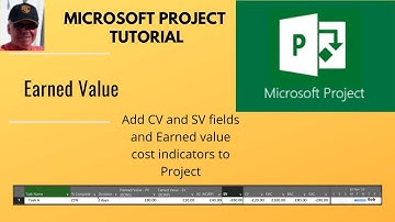 Earned Value Tables in Microsoft Project