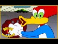 Woody Woodpecker Show | Cheap Seats Woody | Full Episode | Cartoons For Children