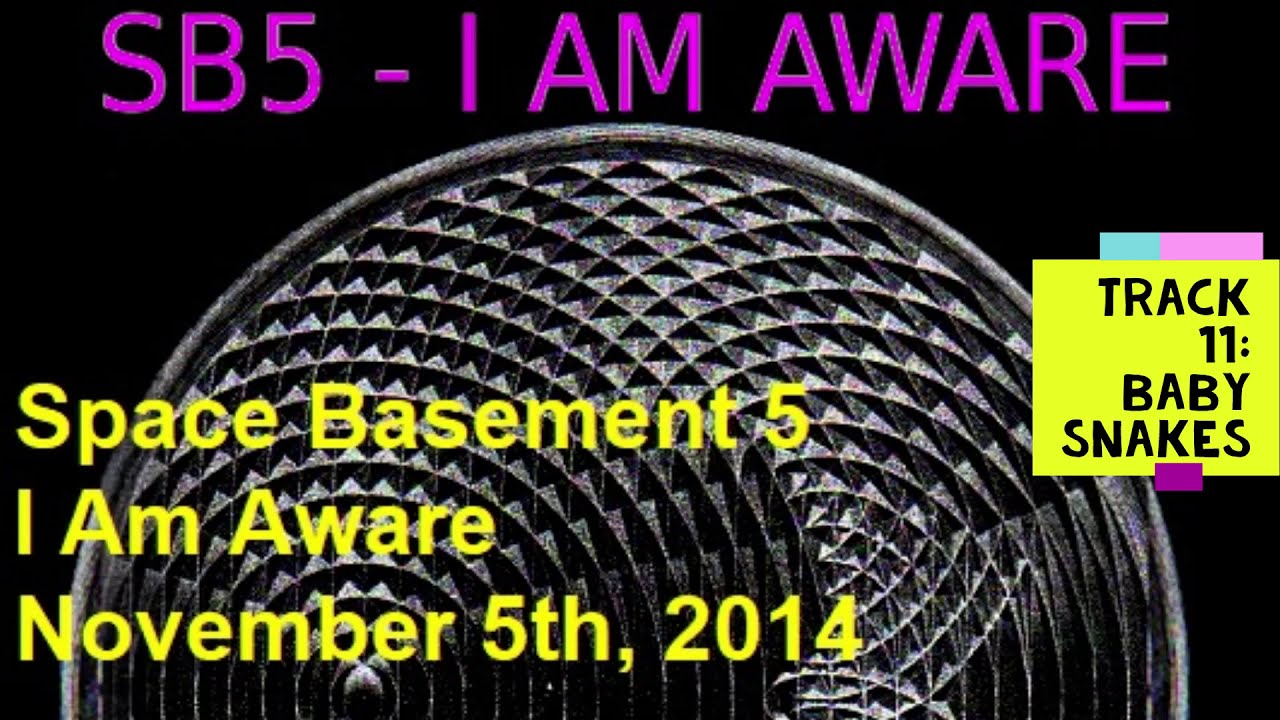 I Am Aware - Track 11 - Baby Snakes - Space Basement 5