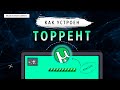 КАК УСТРОЕН ТОРРЕНТ?