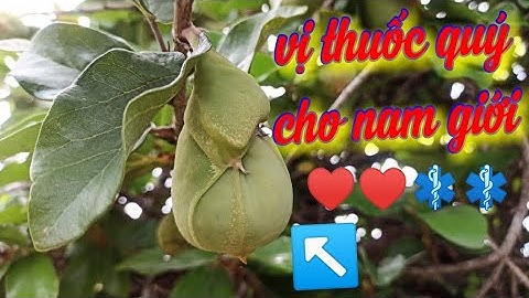 10 công dụng của cây trâu cổ