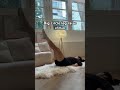 Get a slim Waist in 7days #pilates #workout #fitness