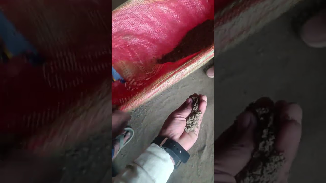 पक्का देसी जुगाड़ के आगे सब फेल! 😲 अम्मी का नया अविष्कार।रेत छानने की अनोखी मशीन!  😂