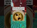 Memes Part 7